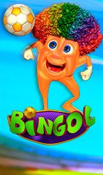 Bingol - M Bingol