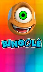 Bingolé - M Bingolé